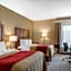 Comfort Inn Chester - Richmond South