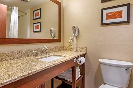 1 King Bed Suite Nonsmoking