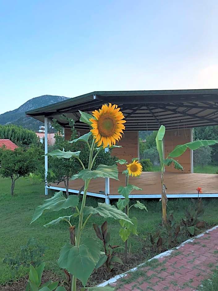 Cirali Armira Bungalow