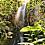 Foresight Eco Lodge & Safari