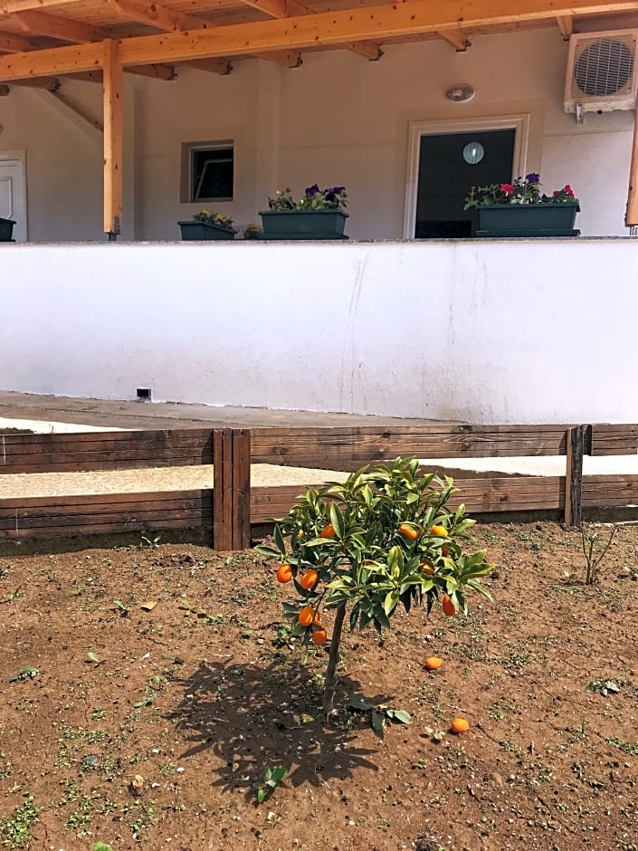 Privé Hotel And Apartments