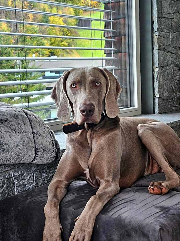 ALMMONTE PRÄCLARUM SUITES - Casual Boutique Hotel