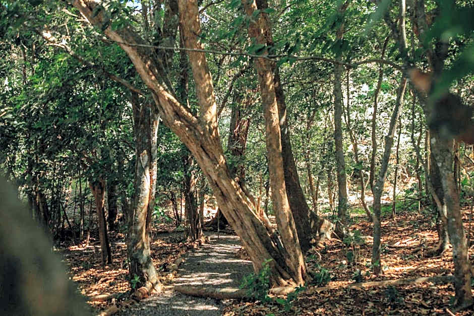 Hotel & Spa Poco a Poco - Costa Rica