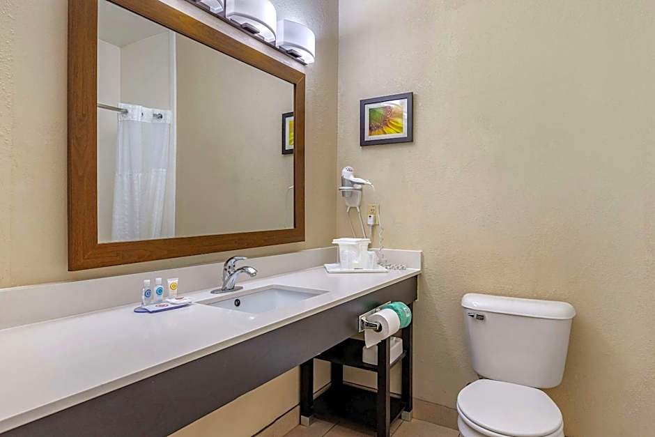 Comfort Inn Oklahoma City South - I-240