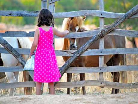 Agroturismo Finca Son Sala