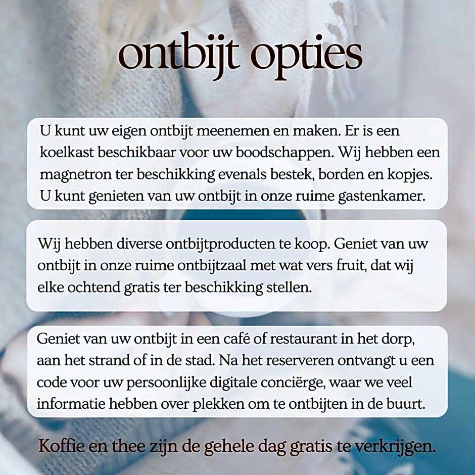 Boutique Hotel De Raetskamer