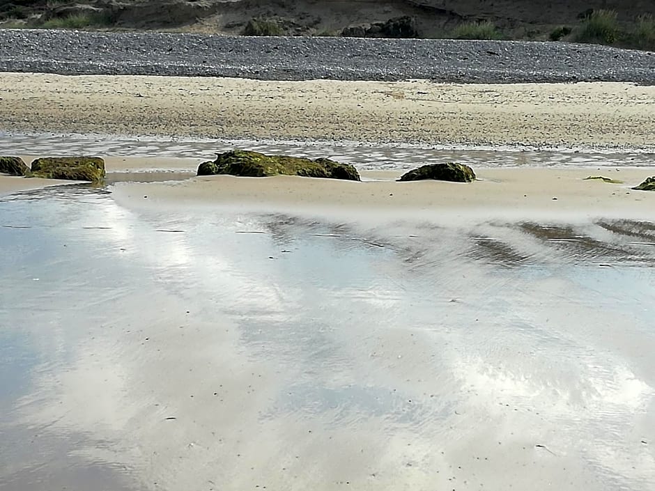 Sunflower Bed & Breakfast