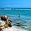 Rock'n Reef