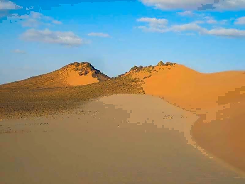 Western Desert Hotel & Safari