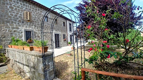 B&B Paternocchio