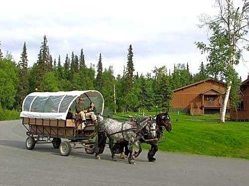 Mt. McKinley Princess Wilderness Lodge