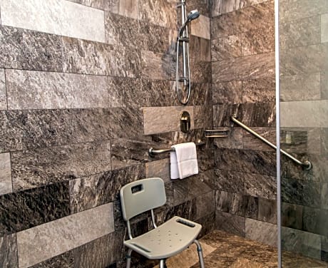 Queen Accessible Room W/  Roll-In Shower Ns