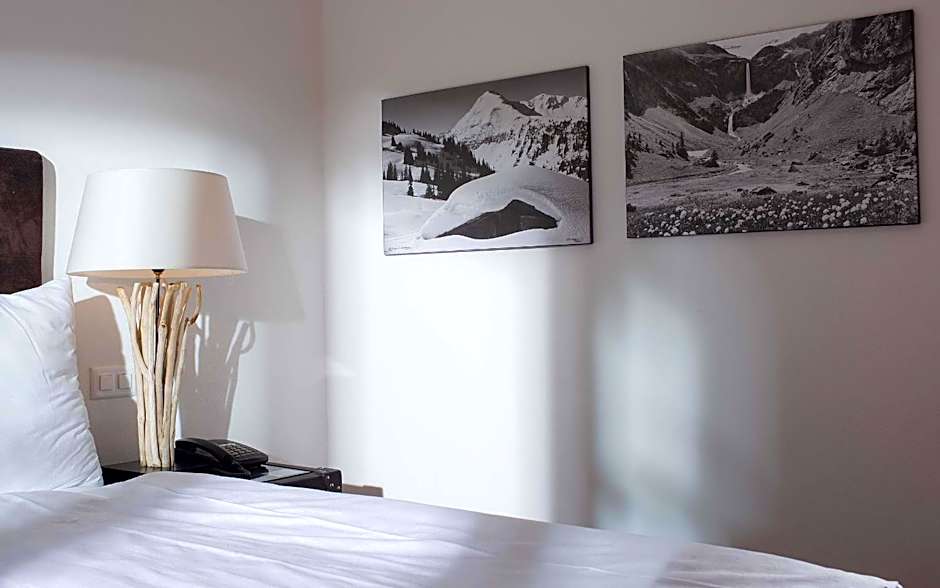 Hotel des Alpes Superieur