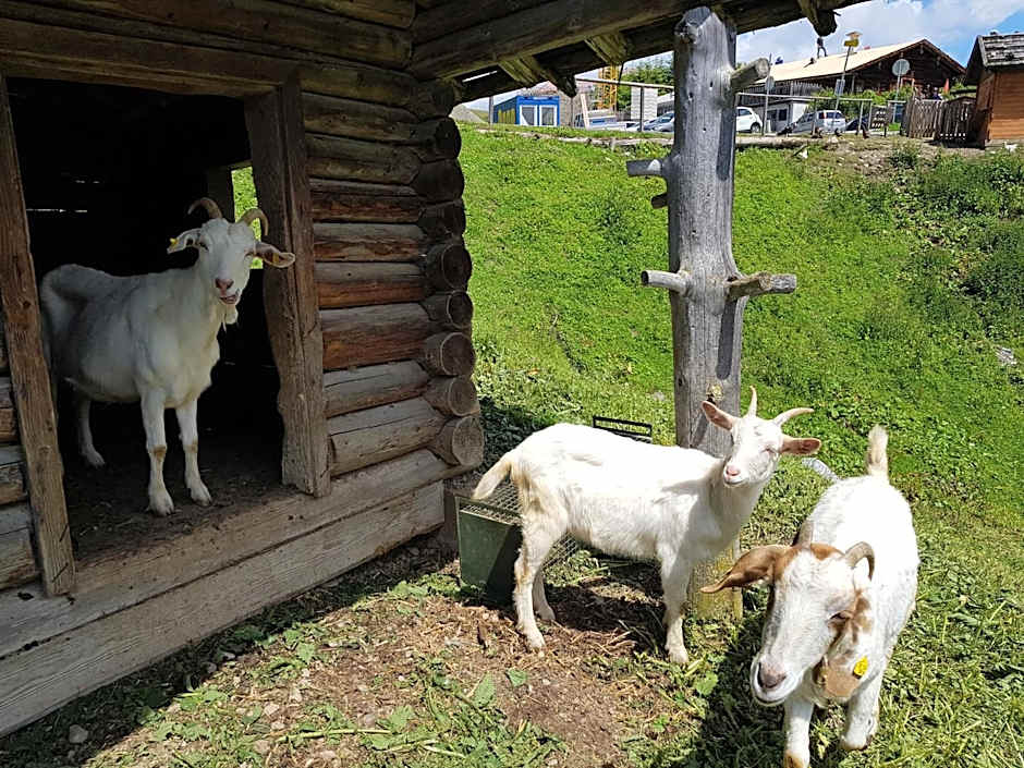 Berghotel Arthurhaus