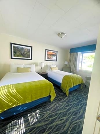 Budget Double or Twin Room