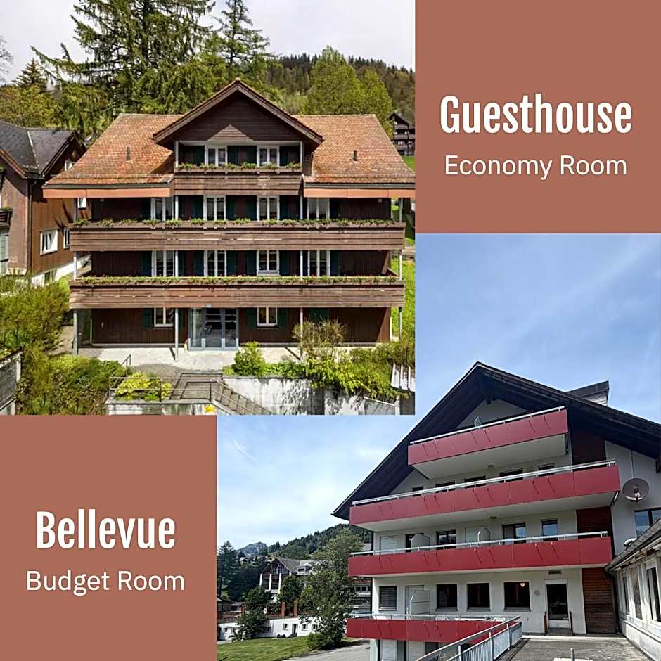 Hirschen Guesthouse - Village Hotel