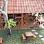 seno guesthouse and cafe