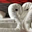 ibis Cannes Plage La Bocca