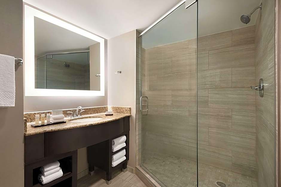 Embassy Suites by Hilton Atlanta Alpharetta