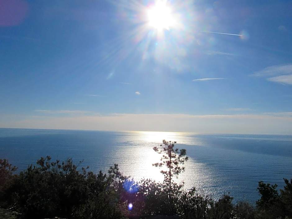 Green Quiet Affittacamere