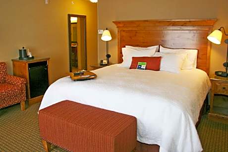 1 KING HEARING ACCESSIBLE NONSMOKING