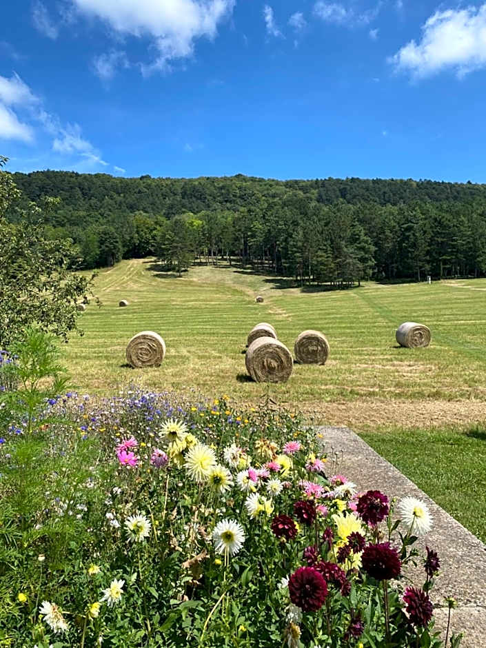 Clos de Mont July, architecture XVIIIe au cœur de la nature