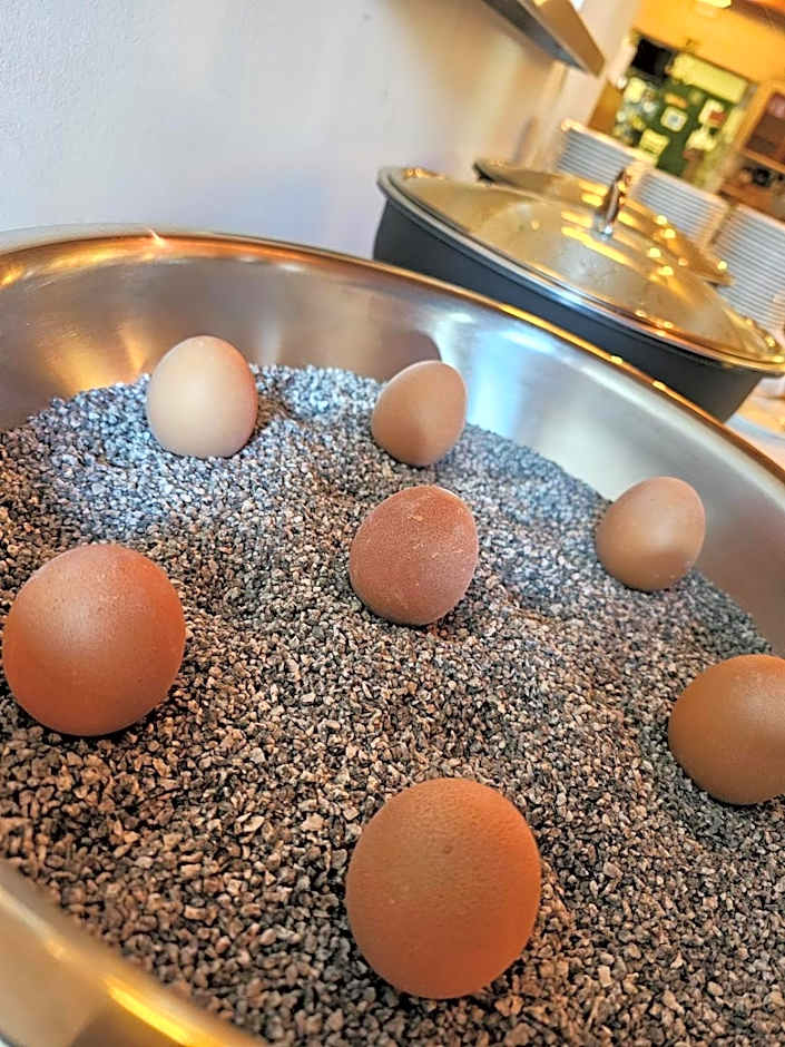 Trail-Inn Natur & Sporthotel