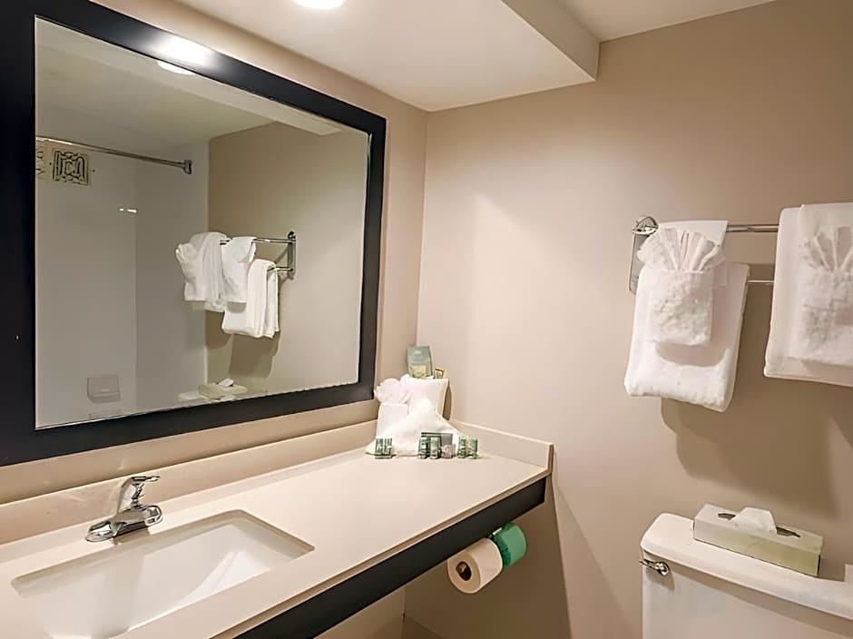SureStay Plus Hotel by Best Western Lehigh Valley