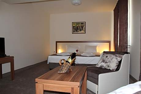 King Studio with Sofa Bed