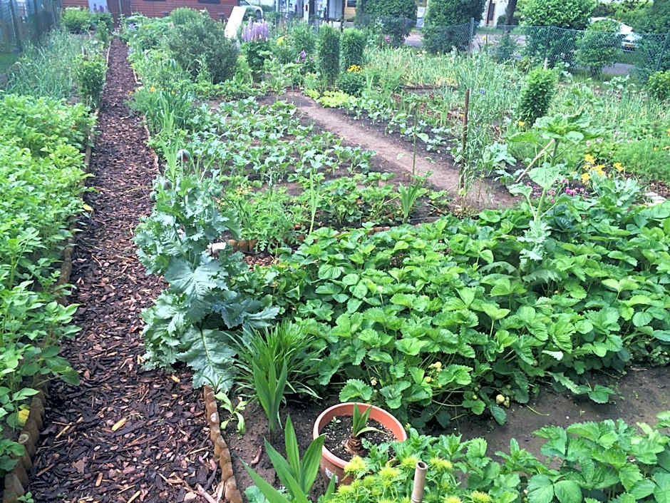 Hotel Auberge Rustique