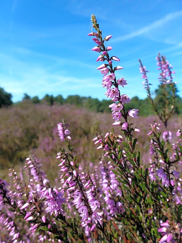 Natuurpoort van Loon