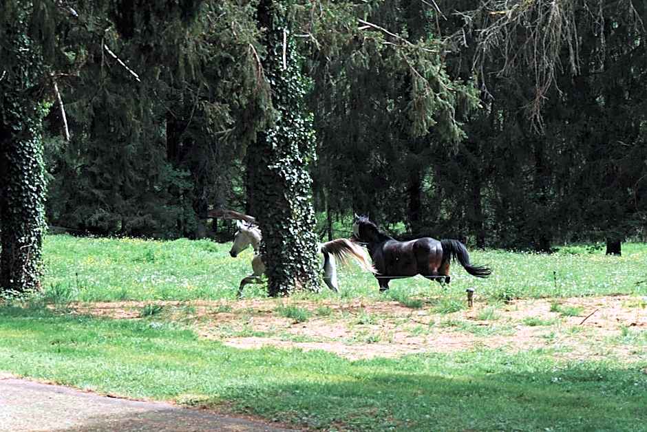Manoir de Chantemerle