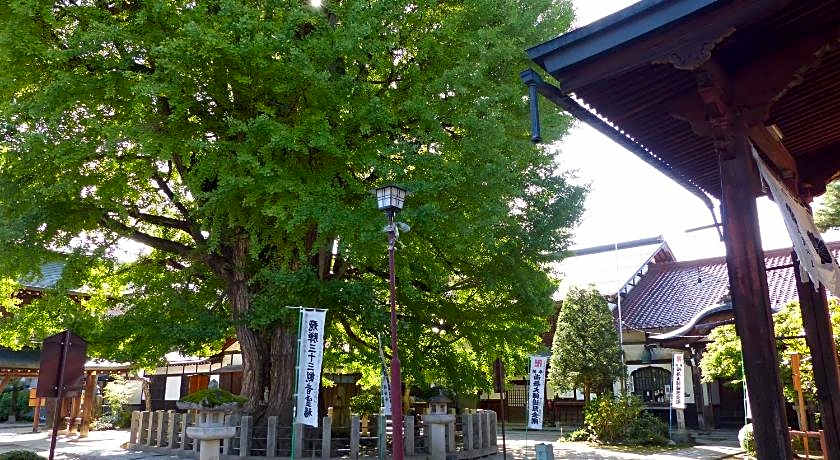 Minshuku Kuwataniya Ryokan