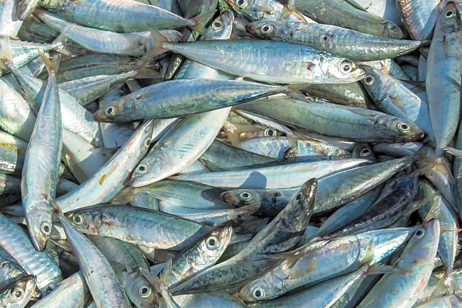 OYO 3126 Penginapan Suka Asih