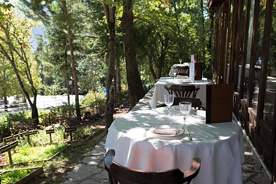 Country Club Hotel & Suites