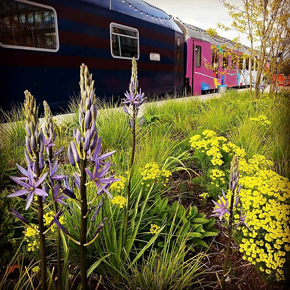 Train Lodge Amsterdam