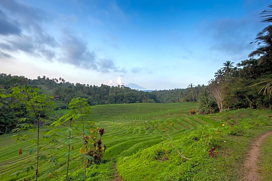 Bali Green Retreat