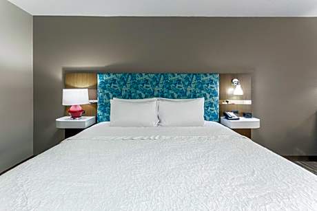 1 King Bed Nonsmoking