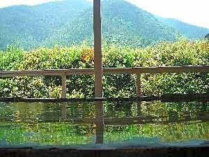 Hotel Suginoyu