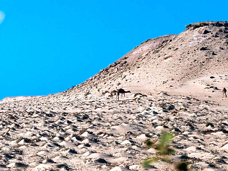 Dakhla Kitesurf World
