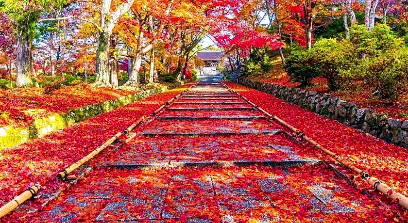 eph KYOTO