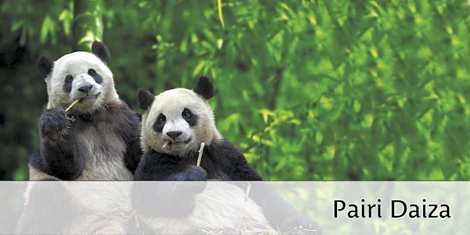 Hotel & Aparthotel Horizon Ath Lessines