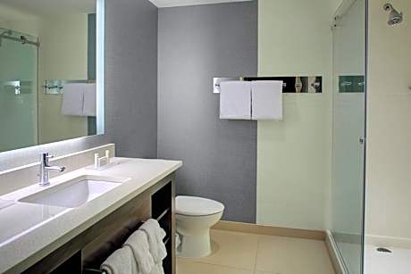 Studio, 1 King Bed with Sofa bed (Hearing Accessible) (1 King Bed and 1 Double Sofa Bed)