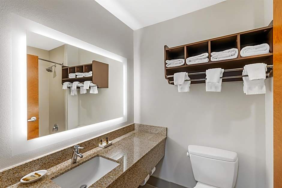 Best Western Plus McDonough Inn & Suites