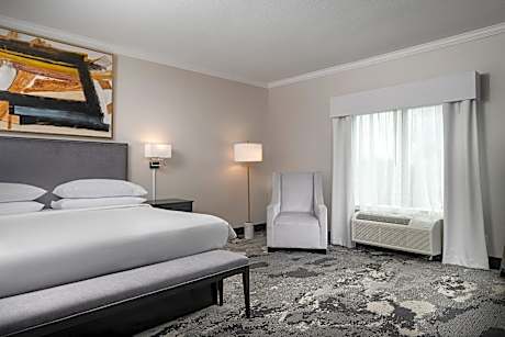 King Suite with Mobility Access Tub