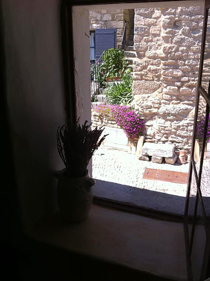 Rose – Bonnieux, UT