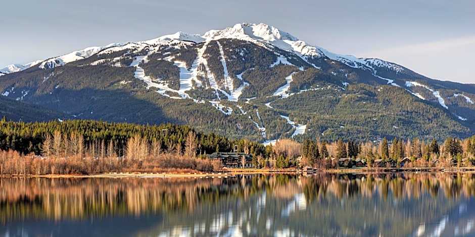 Cozy Creek Den - Studio w Hot Tub and Pool