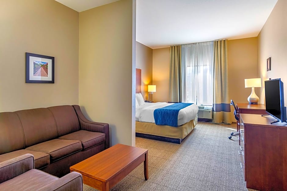 Comfort Inn South Chesterfield - Colonial Heights