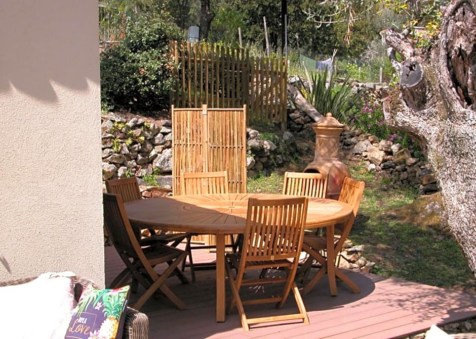 L'oliveraie du Fango