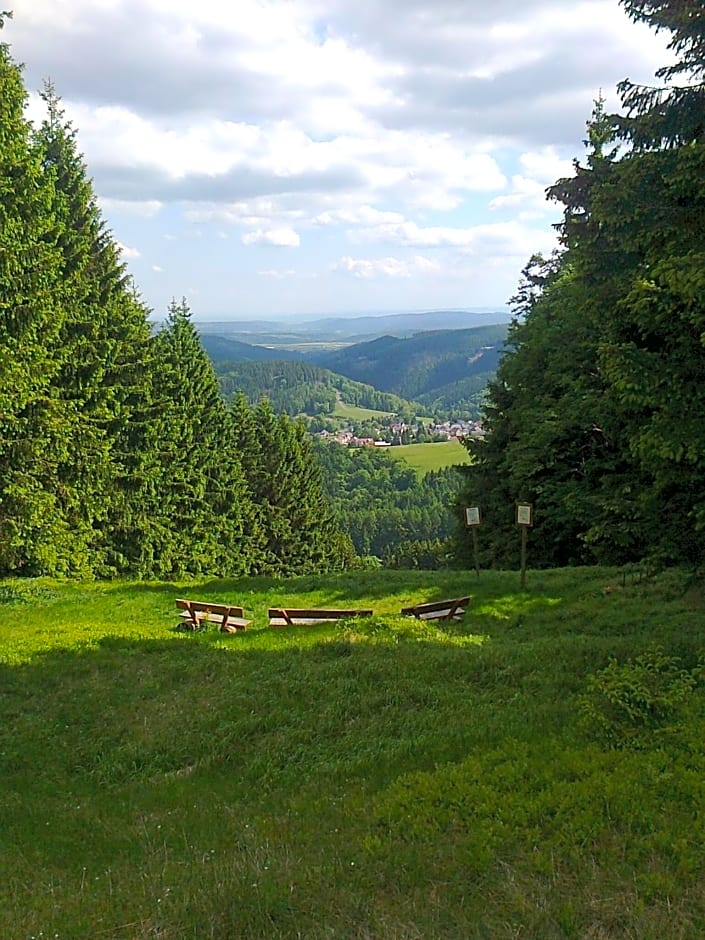 Hotel Zum Schneekopf "Garni"